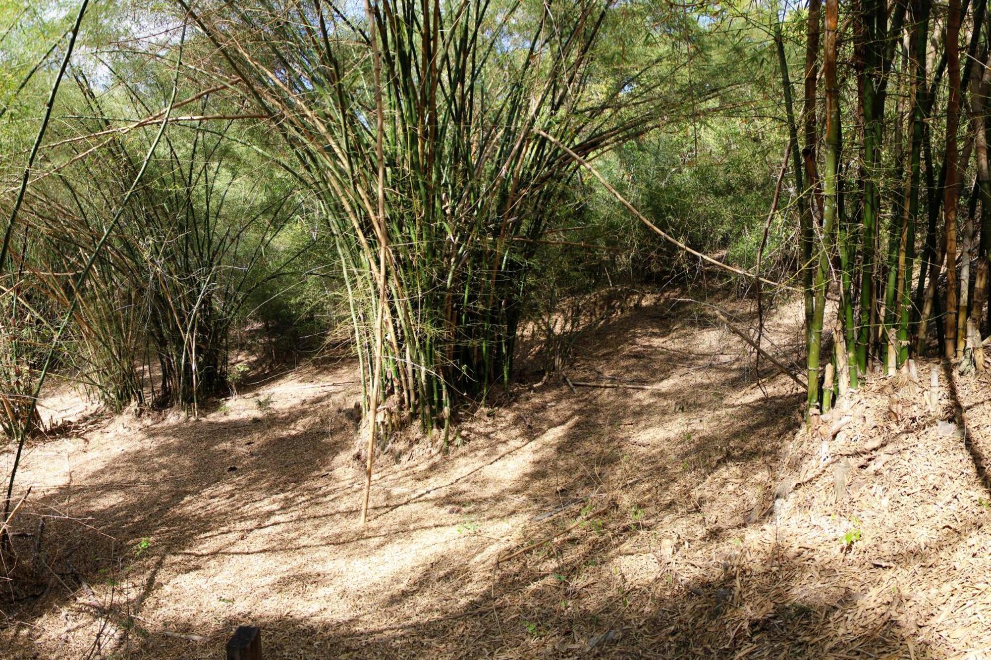 Fazenda Hotel Candeal Conceicao de Jacuipe Luaran gambar