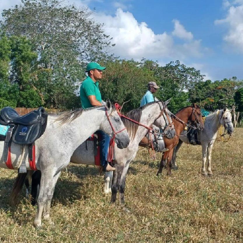 Fazenda Hotel Candeal Conceicao de Jacuipe Luaran gambar